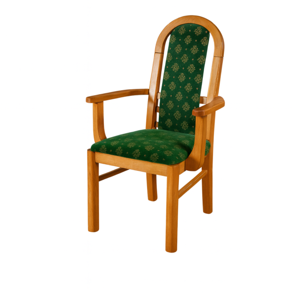 Stylish armchair featuring a wooden frame and green patterned fabric upholstery