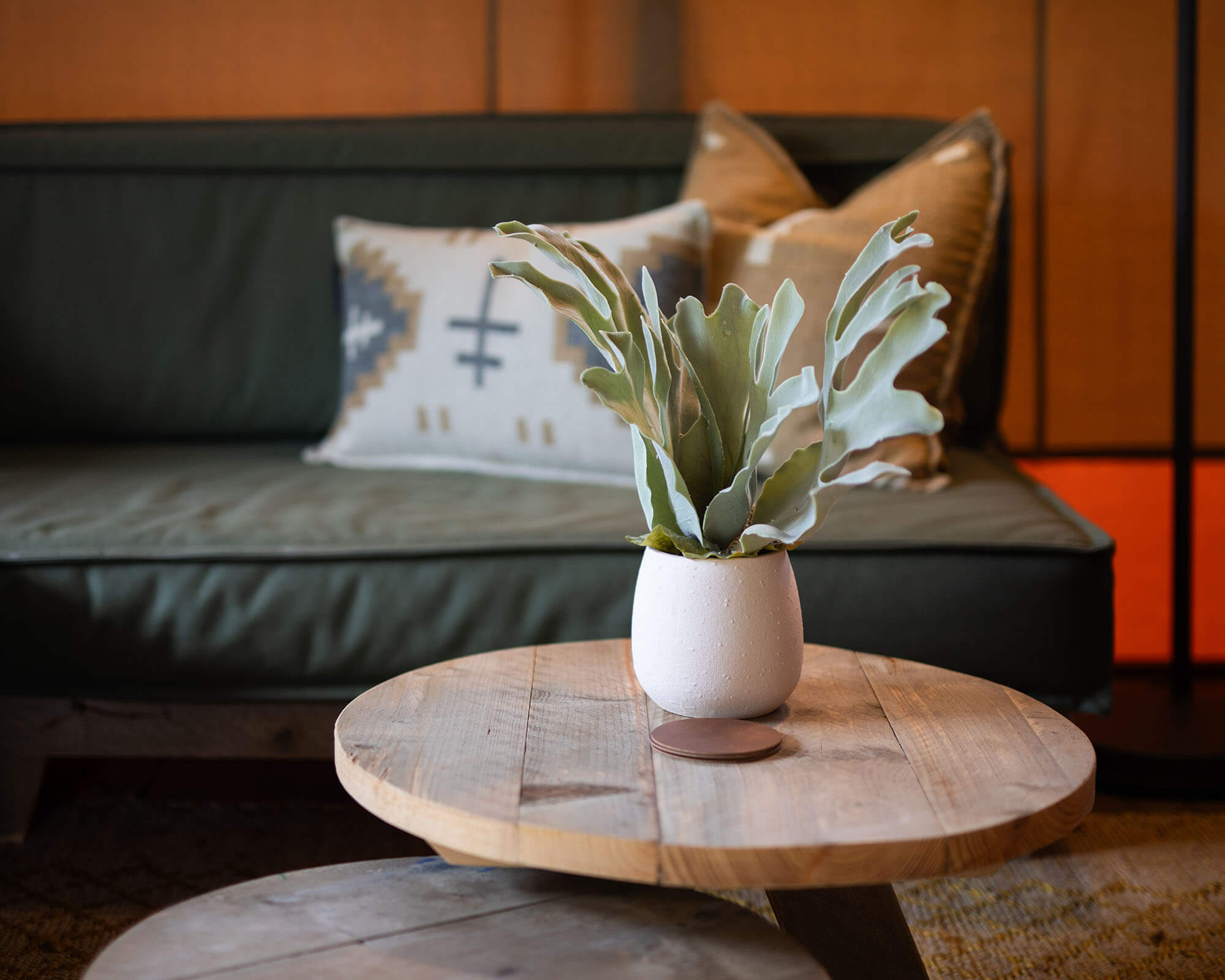 A cozy living room featuring a green couch, decorative pillow, and a wooden coffee table with a potted plant.